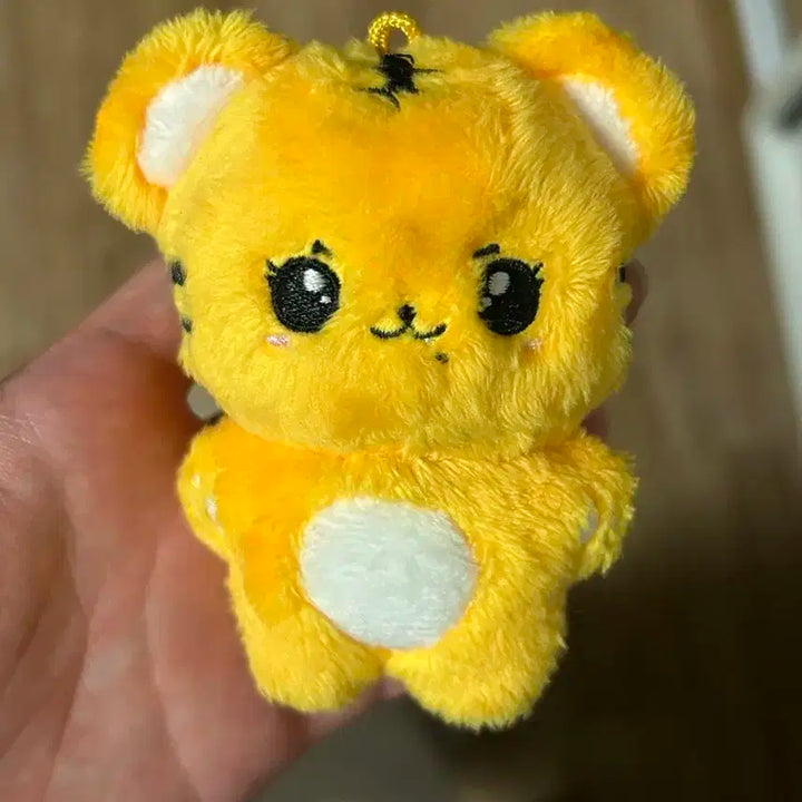 트와이스 채영 챙랑이