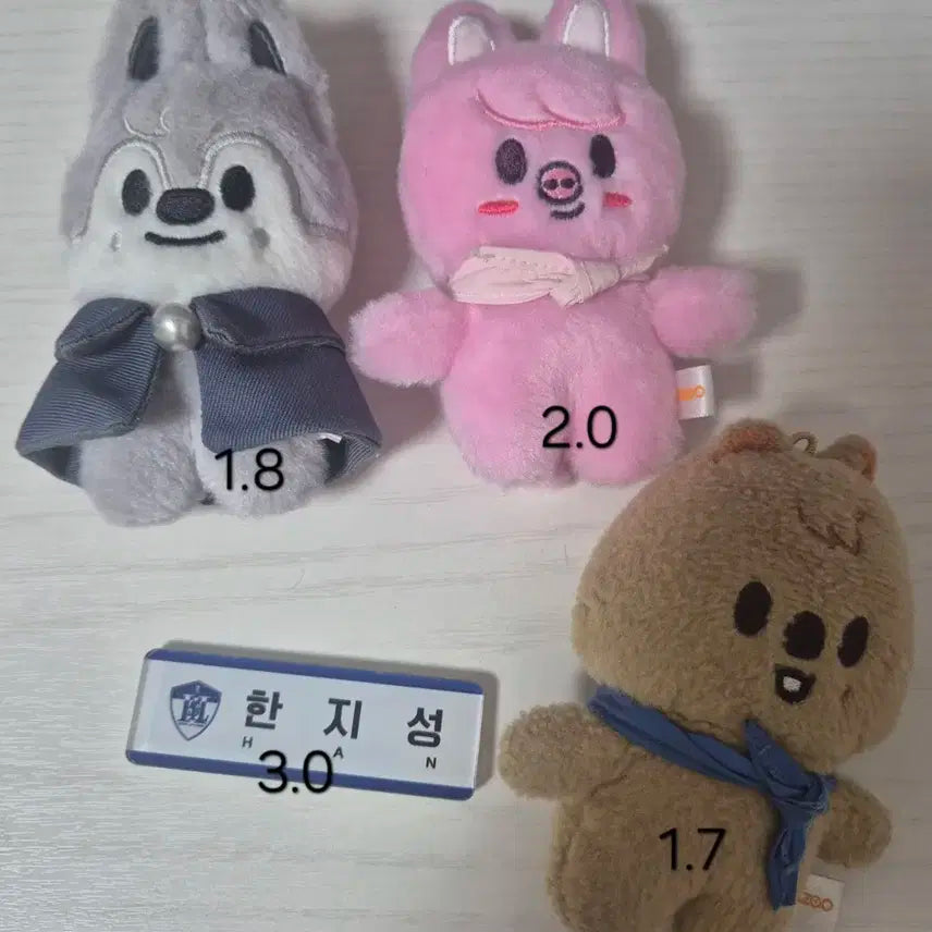 스트레이키즈 창빈 한 인형, 한 명찰