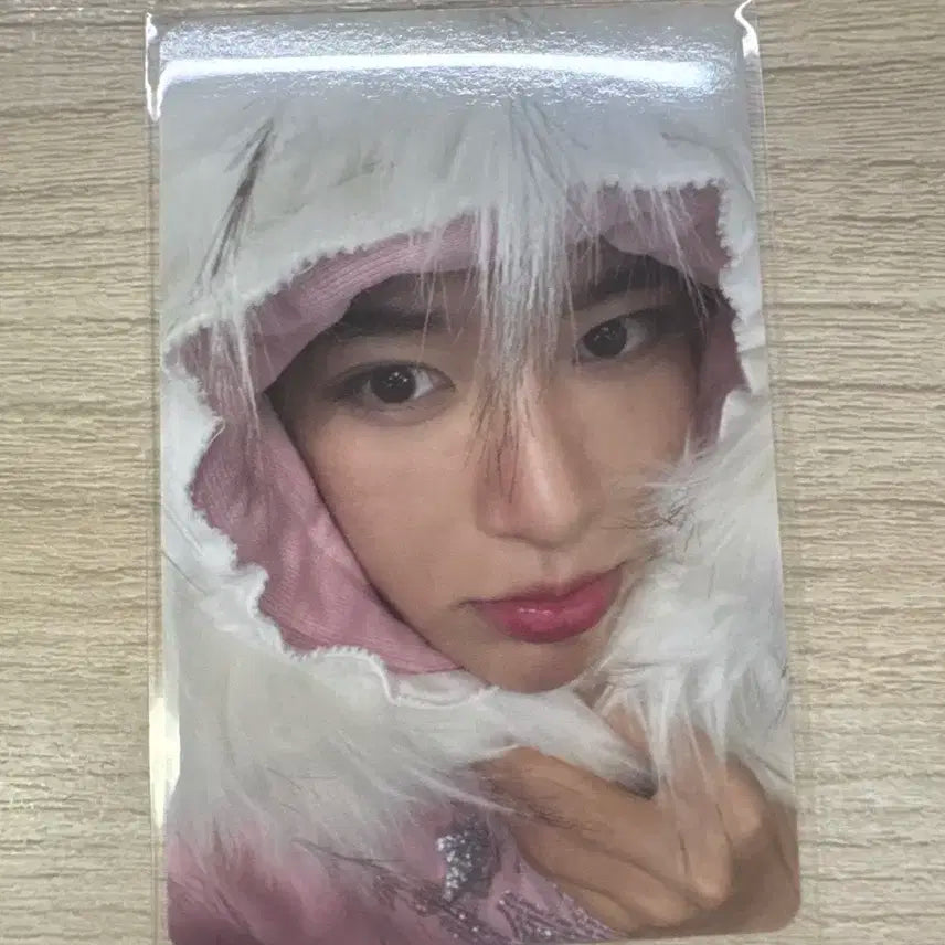 컬러 포토북 초회한정반 시온 미라클 포카 양도