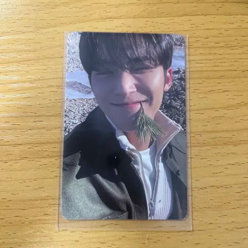 세븐틴 민규 페더썬 ep.4 path