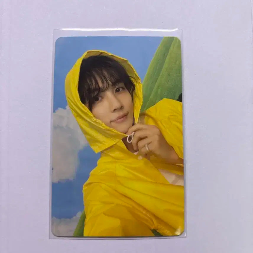 세븐틴 정한 포카