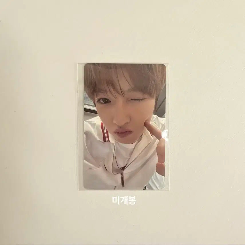 엔시티 위시 무신사 럭키드로우 포카 사쿠야