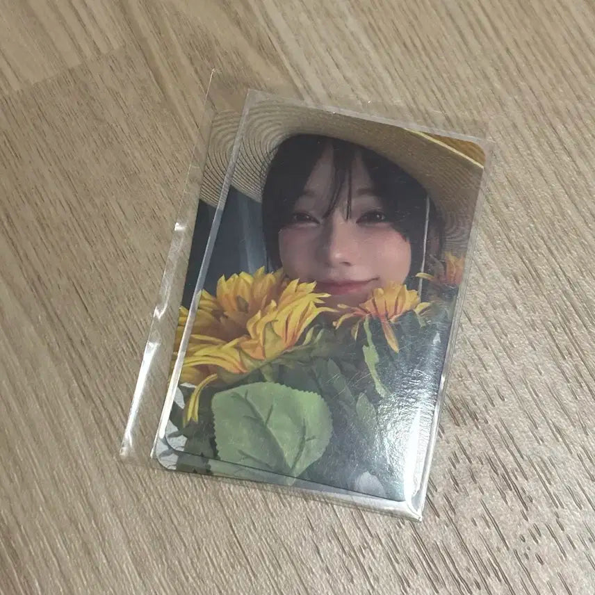 Qwer 미공포 포토카드 마젠타