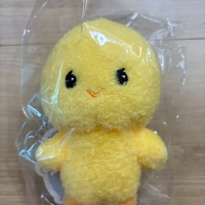 태민 탬아리 15cm인형 단품