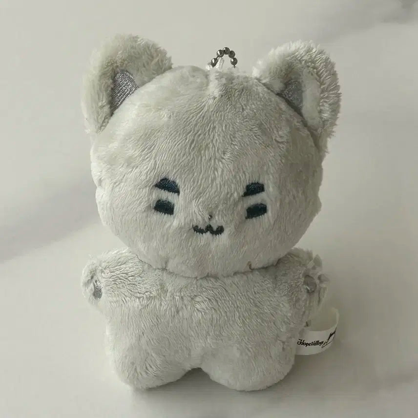 엑디즈 정수 인형 둥코