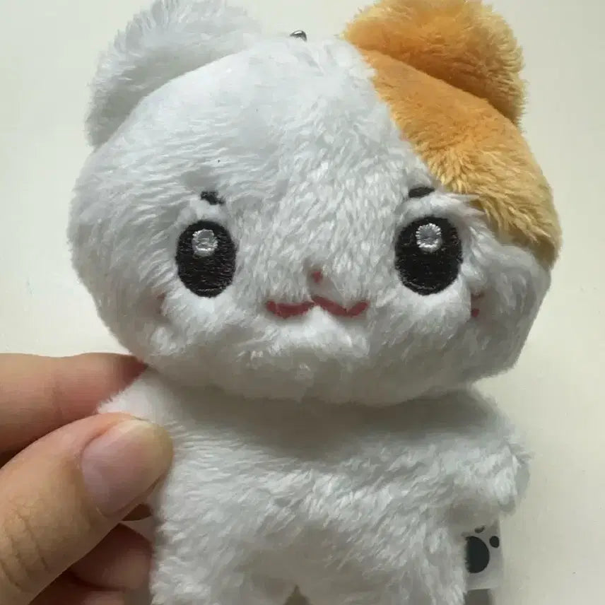 폭덤) 제베원 제로베이스원 솜한빈 양도