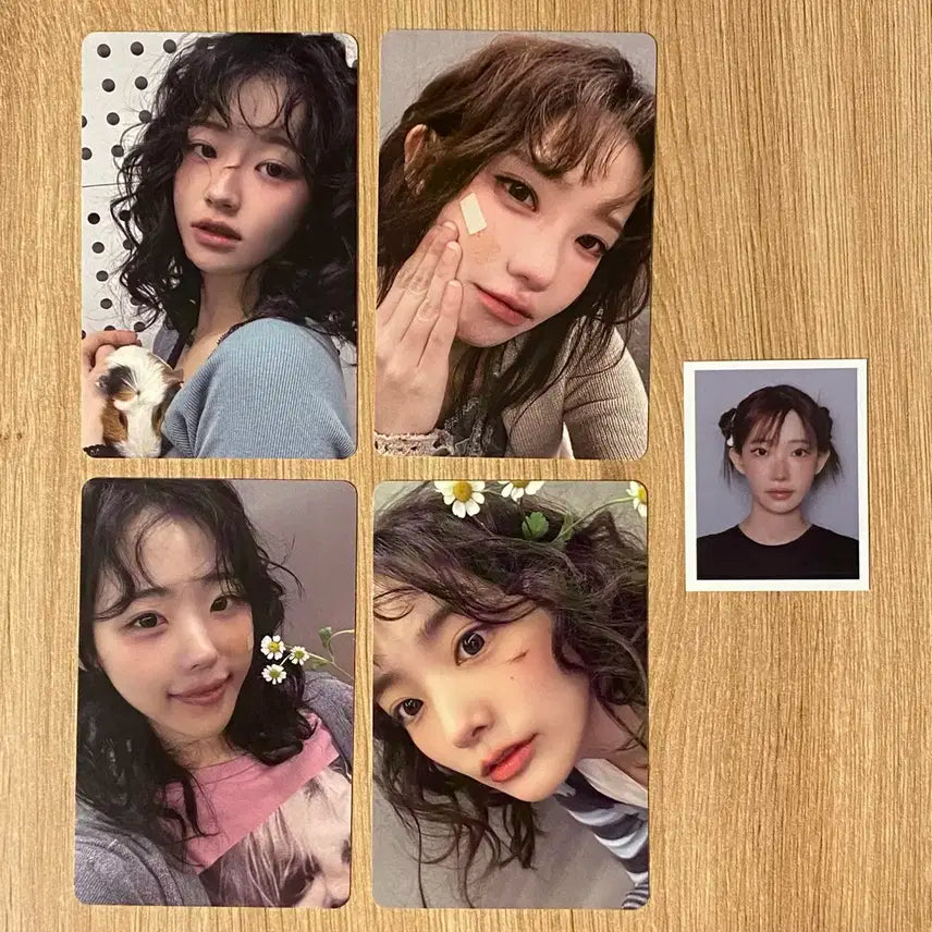 QWER 미니 3집 B버전 포토카드 포카 증명사진 세트 일괄 판매