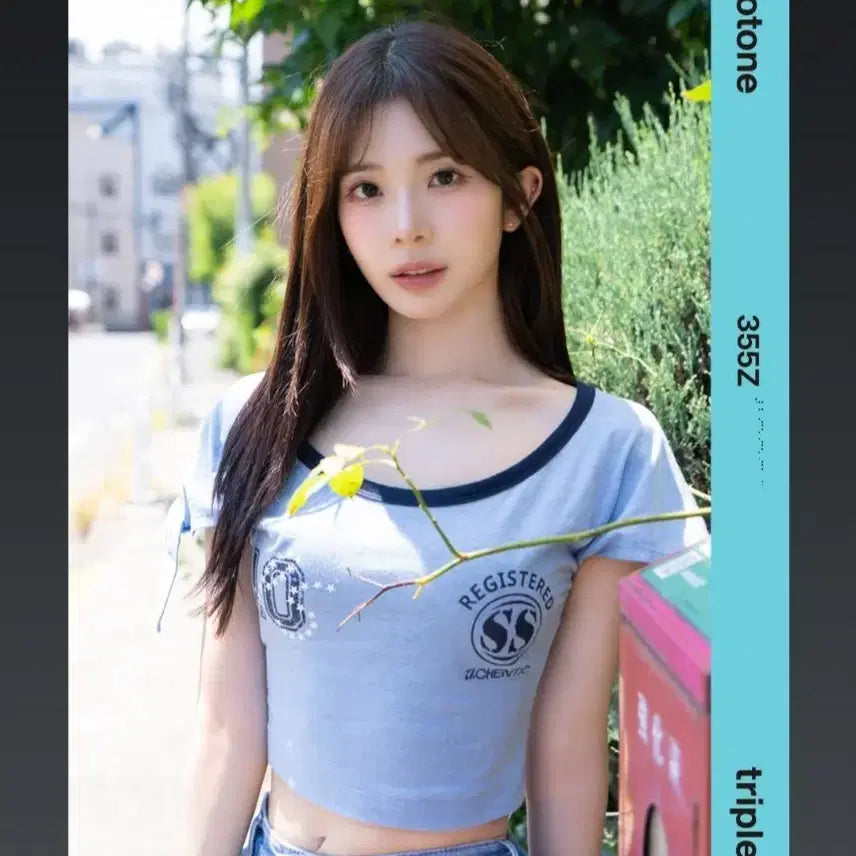 Hatch! 여름방학 코토네 오브젝트 355Z 양도 판매