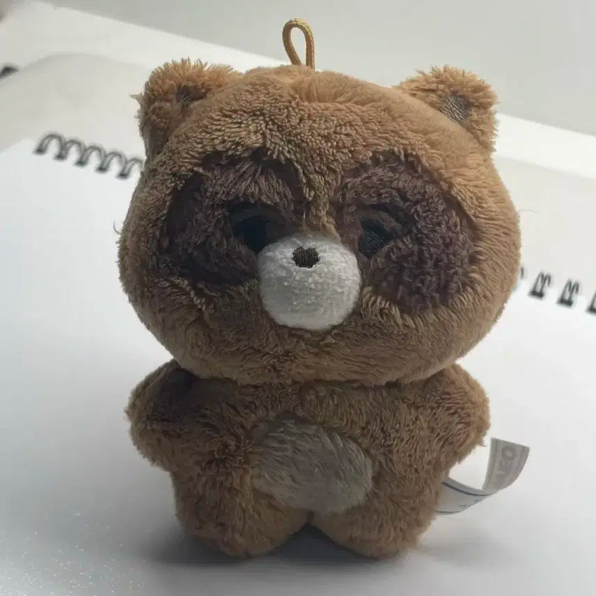 쪼구리 더보이즈 선우 인형