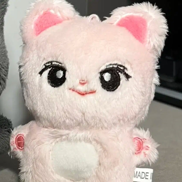 르세라핌 사쿠라 인형 냥콩이 특전 포함 판매