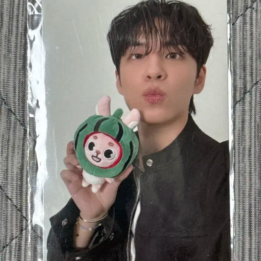 데이식스 포에버영 파이널콘 엠디 금액포카 원필