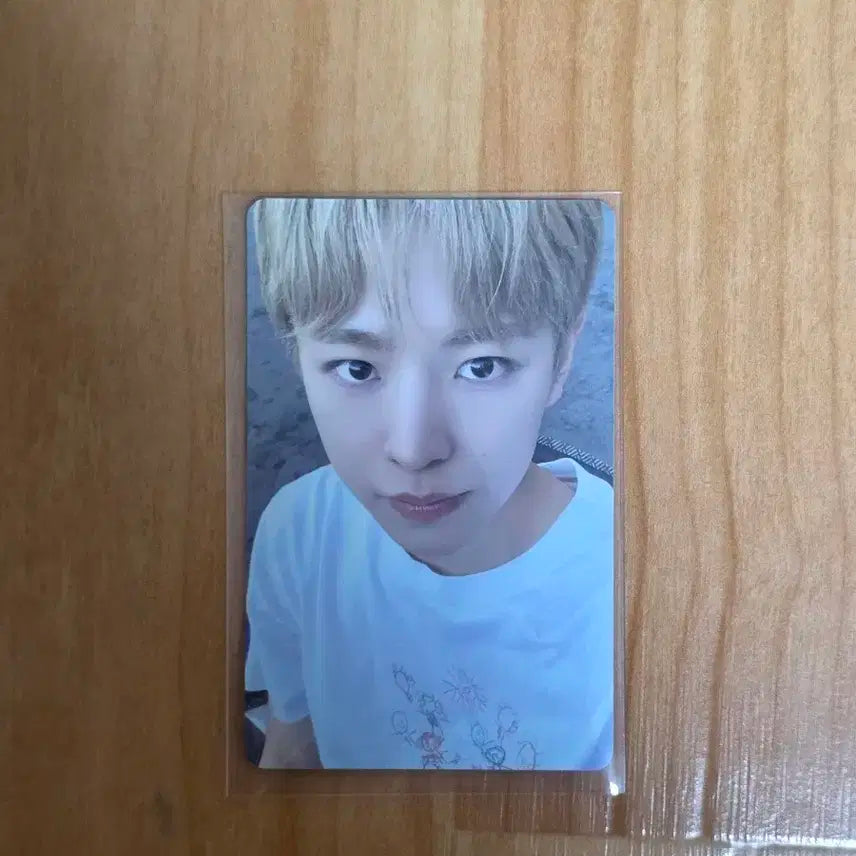 컬러 트레카 유우시