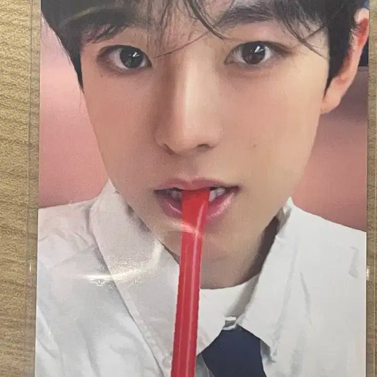 엔시티 위시 유우시 스테디 공차 포카