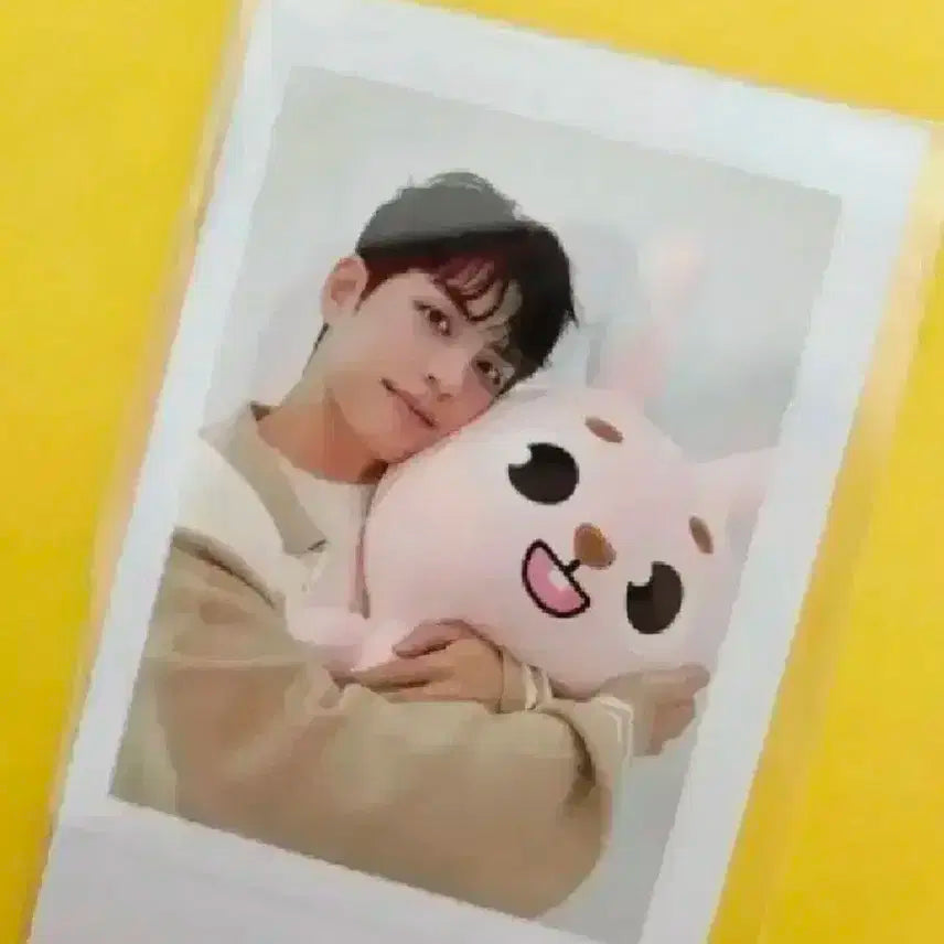 자이언트 데니멀즈 폴라 원필