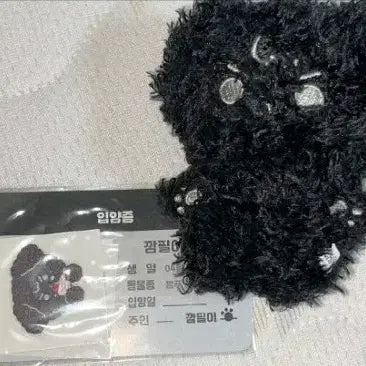 데이식스 비공굿 깜필이