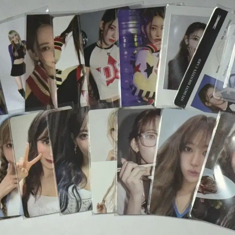 일괄) 르세라핌 사쿠라 포카