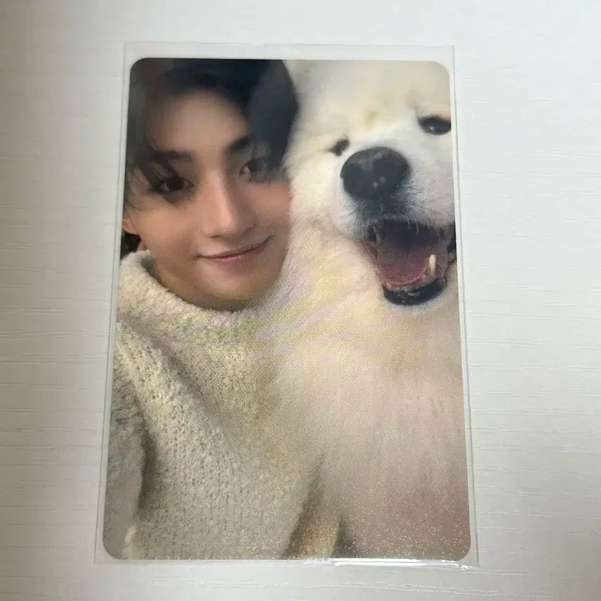 투어스 TWS 지훈 한지훈 lastbell