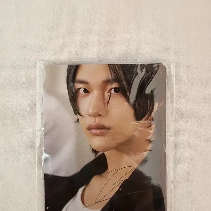 베라 라이즈 원빈 미니포카 포토카드