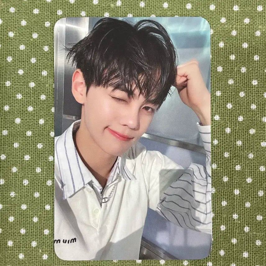 제베원 3집 필더팝 위드뮤 럭키드로우 럭드 에콩 포카 김규빈