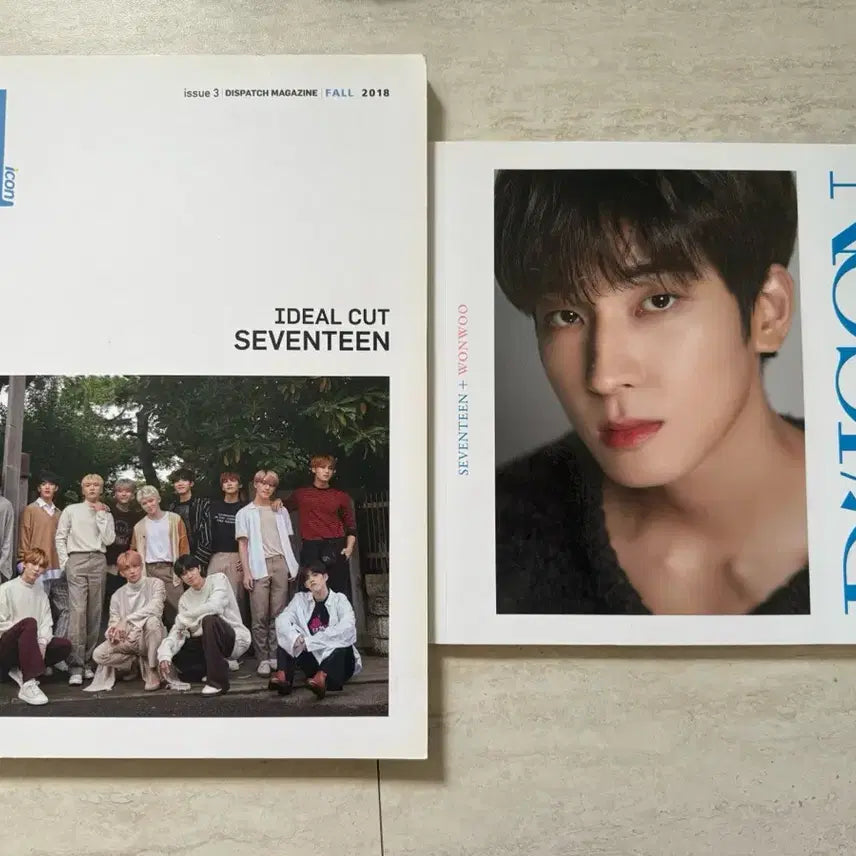 세븐틴 2018 디아이콘 포토북 일괄 양도