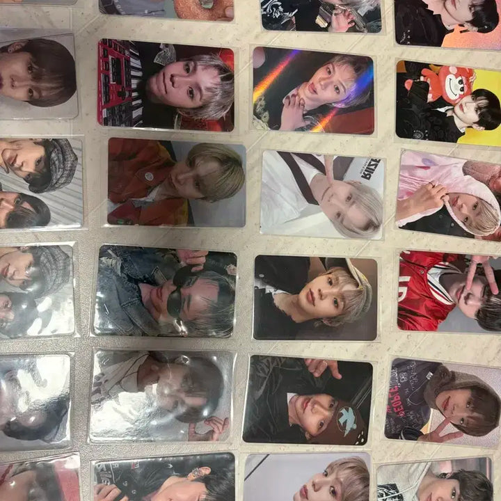 라이즈 쇼타로 일괄 + 바인더 포함