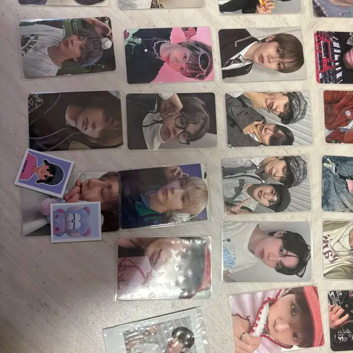 라이즈 쇼타로 일괄 + 바인더 포함