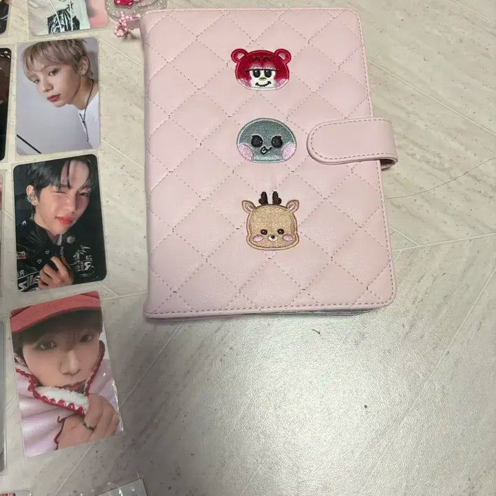 라이즈 쇼타로 일괄 + 바인더 포함