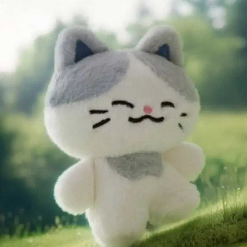 엔시티드림 라인프렌즈 천러 러묘 인형