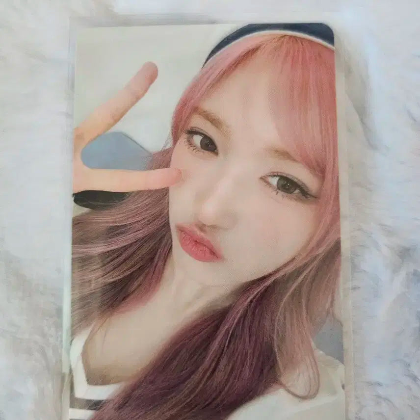 다이브 4기키트 이서포카