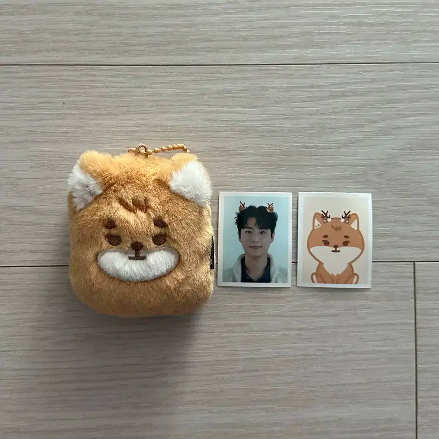데이식스 쁘띠멀즈 케 아이디포토홀더