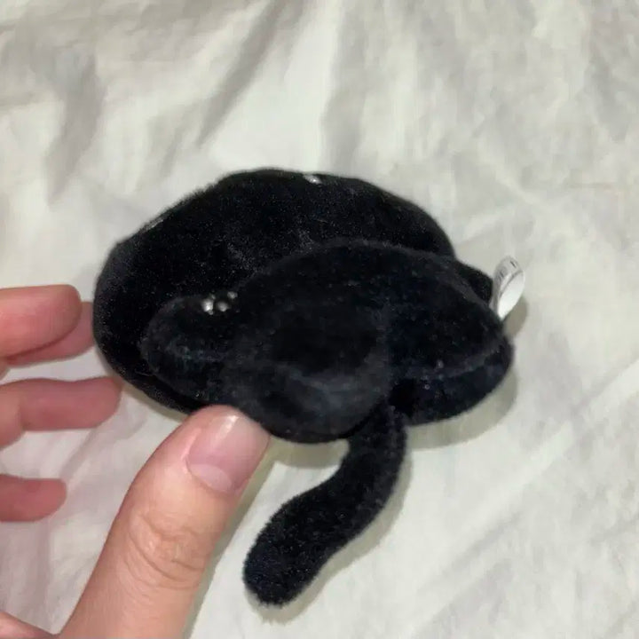 몬스타엑스 아이엠 비공굿 인형 균짱이