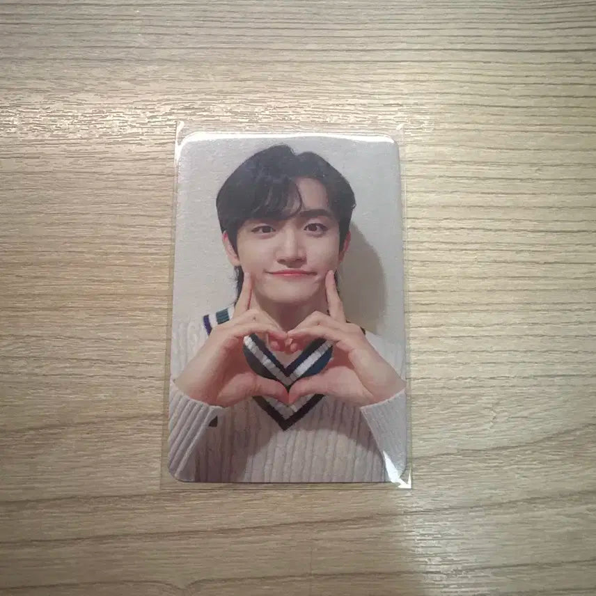 루시 조원상 원상 부기맨 디마뮤 미공포 포카 양도