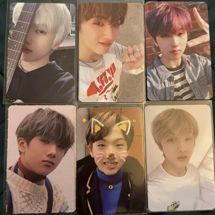 엔시티 지성 포카 일괄 양도
