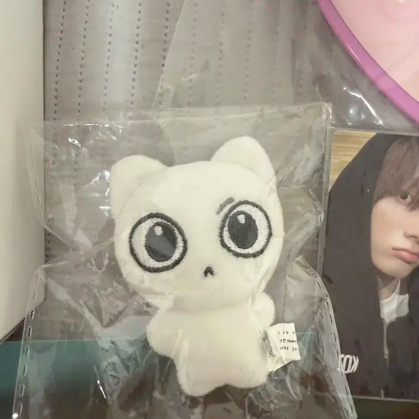 예삐냥 성호 인형 보넥도