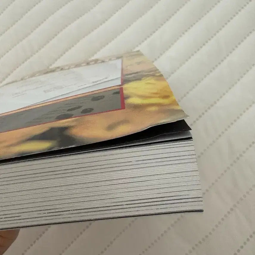 세븐틴 셉페스 윤밍 카페아이다호