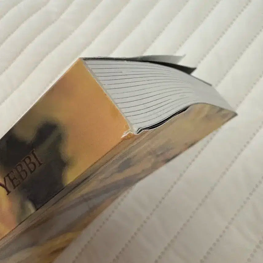 세븐틴 셉페스 윤밍 카페아이다호