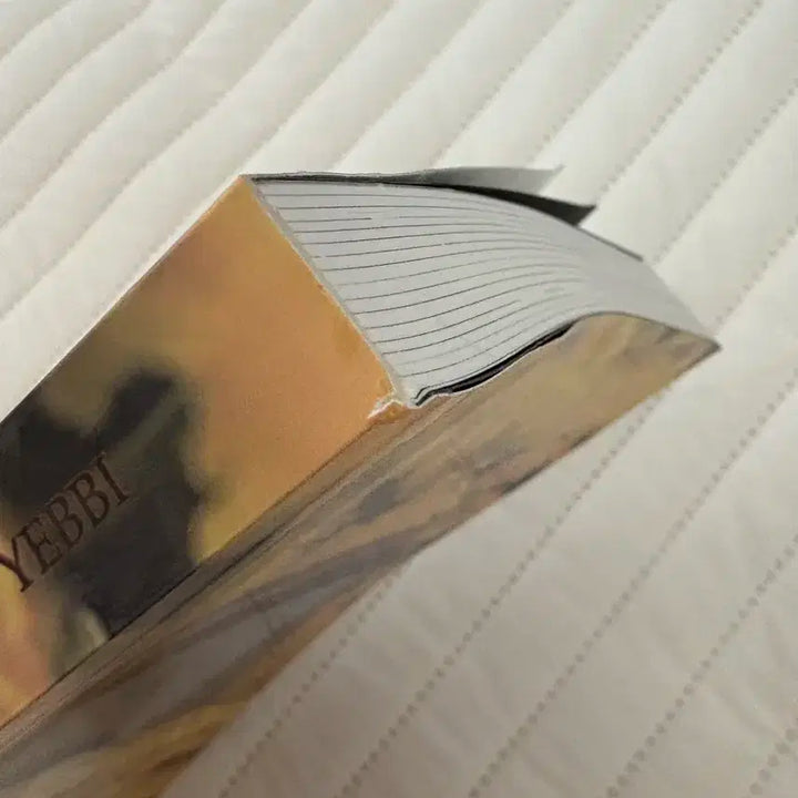 세븐틴 셉페스 윤밍 카페아이다호