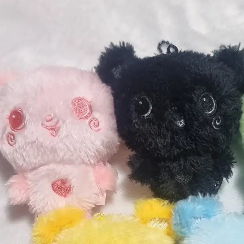 nctwish 엔시티위시 컬러위시돌 시크릿 팡이 사쿠야