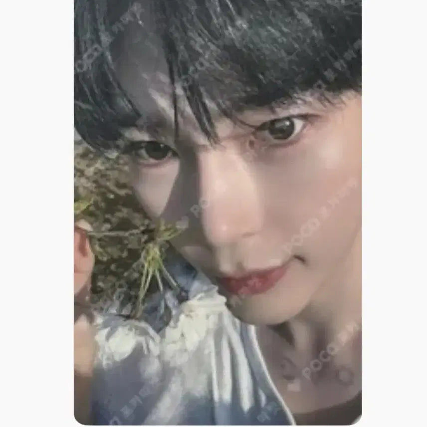 제베원 제로베이스원 블루맨션 막콘 제로즈존 성한빈 포카 양도