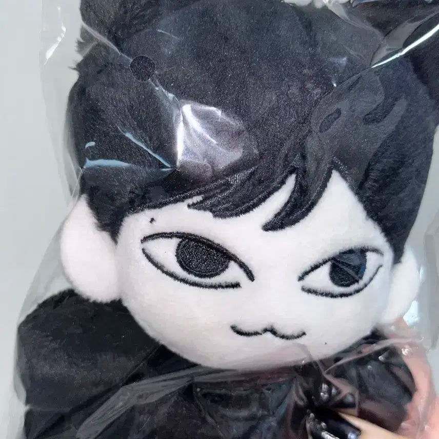 반택포) 더보이즈 주연 인형 마물쭈 15cm 미개봉 양도