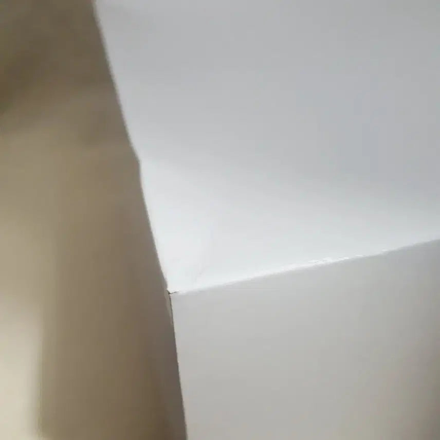 ꡬκΉ)νμ΄ν  νμ  νμΈ λ€ λ―ΈμΏ  νΌκ·μ΄ Birthday 2025 AMP+