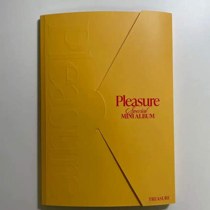 트레저 pleasure 앨범