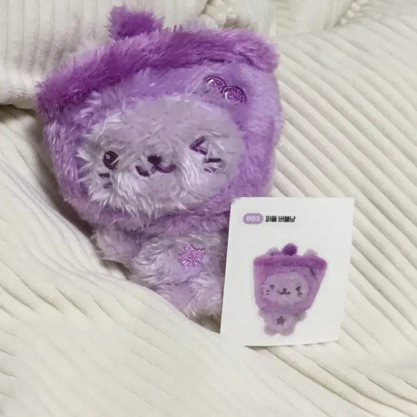 보라버블냥 원가양도 단순개봉 엔시티위시 컬러팝업