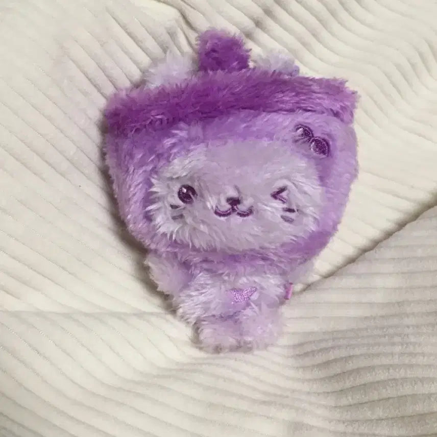 보라버블냥 원가양도 단순개봉 엔시티위시 컬러팝업