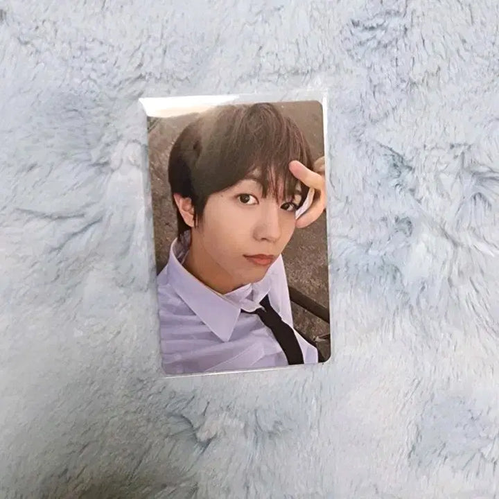 엔시티위시 컬러 포토북 초회한정반 료