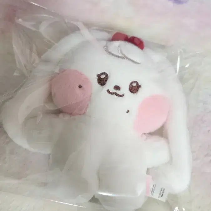 아이브 미니니 체리니 판매