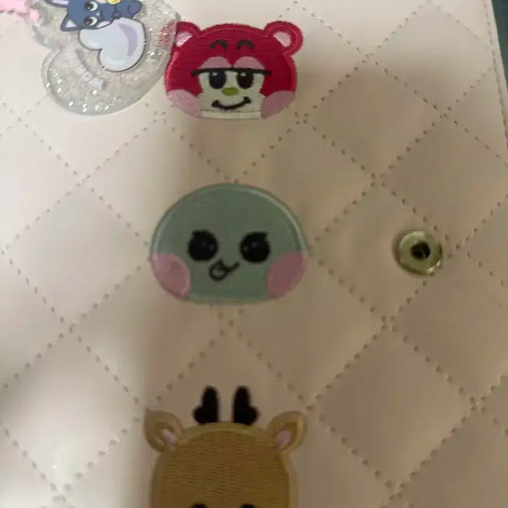 라이즈 원빈 포카 홀더 + 포카 일괄