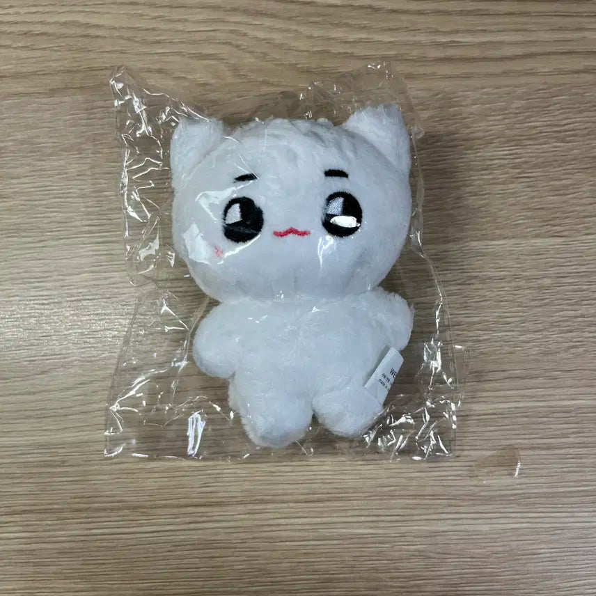 엔시티127 태용 툥냐 미개봉 인형 양도