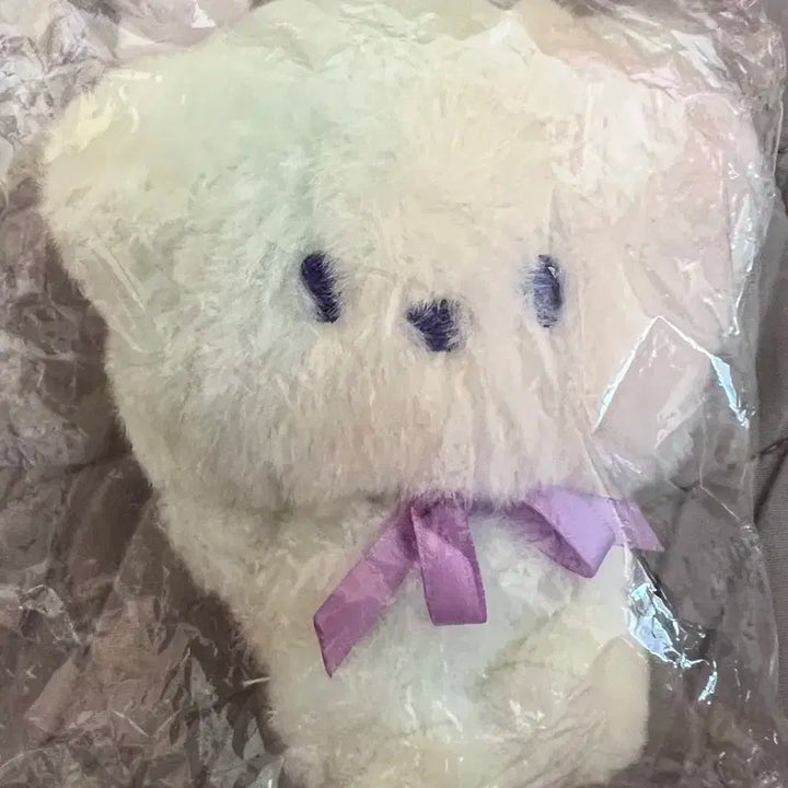 방탄소년단 bt21 알제이 RJ 레인보우 인형 키링