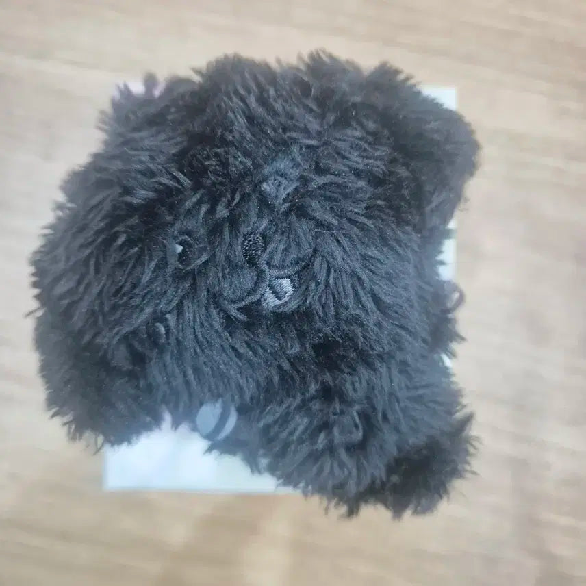 엔시티 위시 위시돌 컬러돌 위부부 재희 시크릿 양도